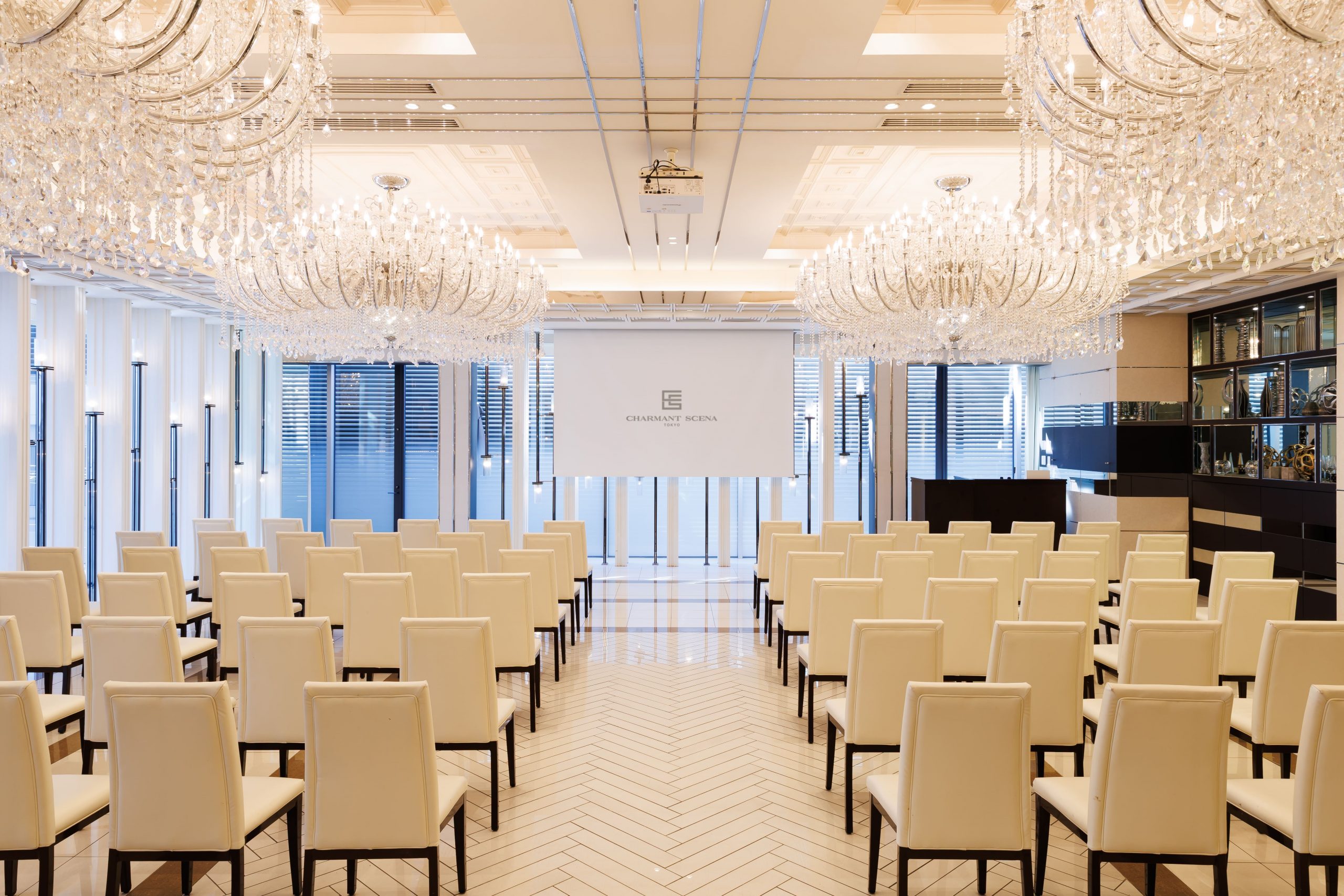 Meeting/Seminar